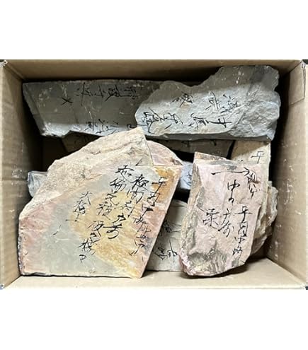 Amazon | 天然砥石 山城銘砥 原石 奥殿 中山 大突 菖蒲谷 等 右京区梅